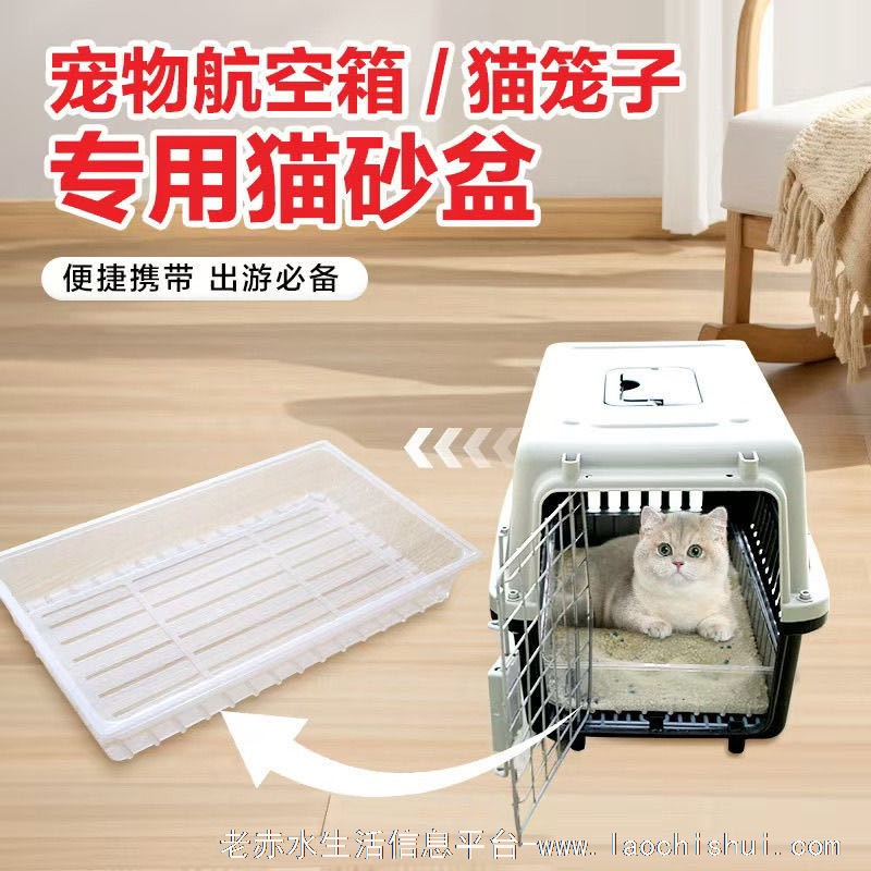 赤水有没有去广州这边方向的网约车可以带宠物的 有猫笼自带猫砂 