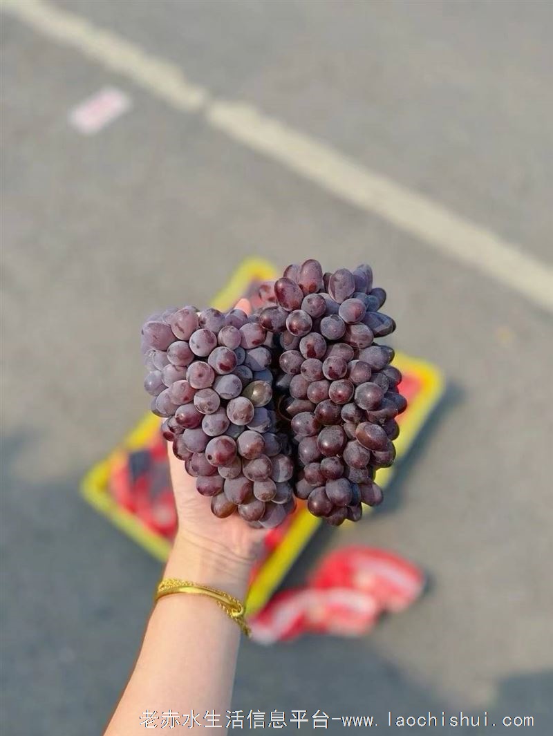 南桥路淉木瑶水果店招聘了