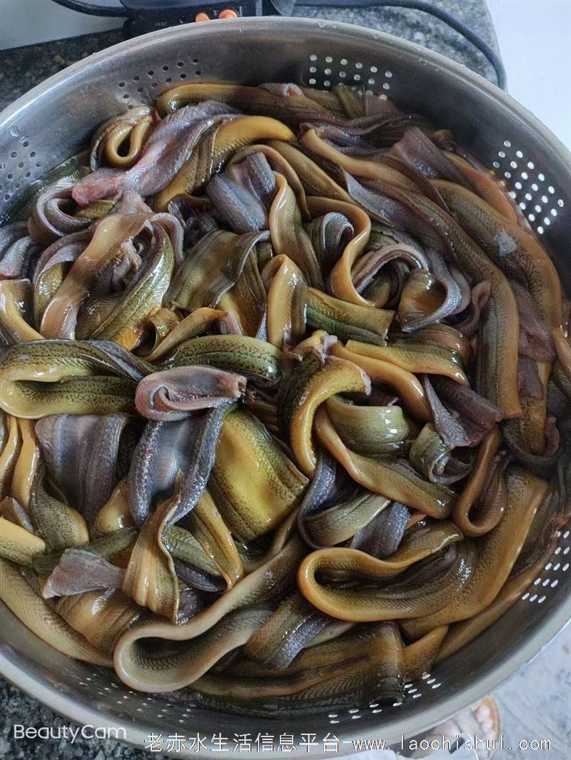 出售野生黄鳝泥鳅！味道鲜美！！！需要的老板私电话联系，九支赤水城区免费配送！